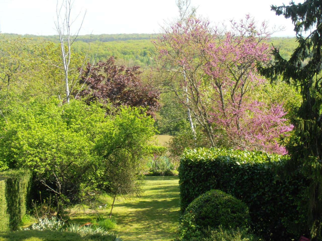 La Fargette Bed and Breakfast Saint-Fargeau-Ponthierry Eksteriør billede